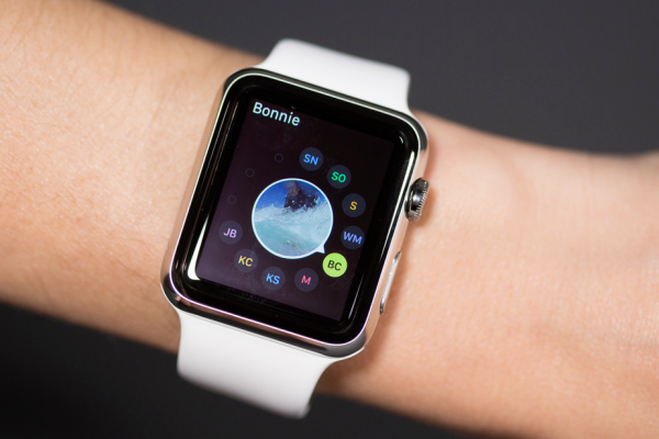 apple watch app development kit
