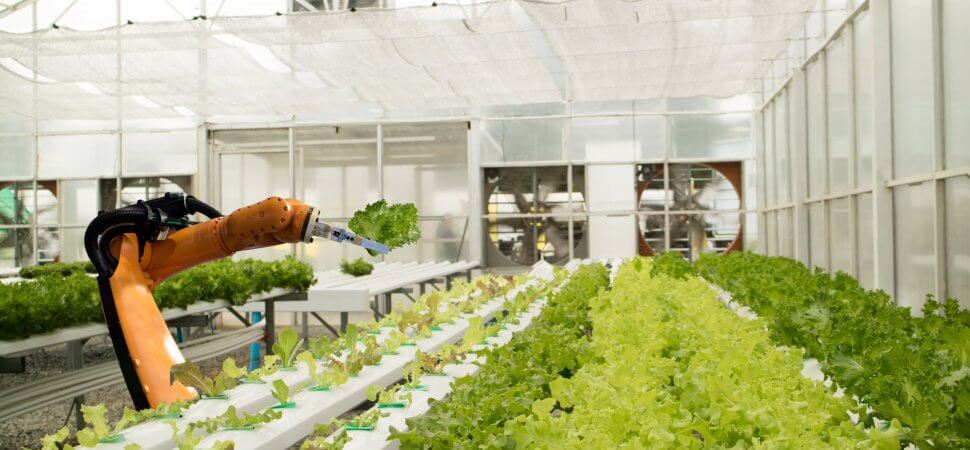 Iron Ox AI Grows 30 Times More Produce | Dogtown Media